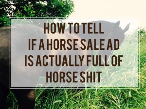 What to believe in a horse sale ad