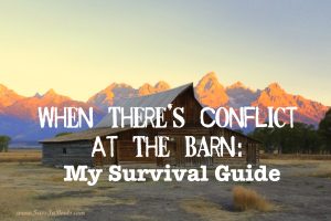 conflict-at-the-barn-a-survival-guide