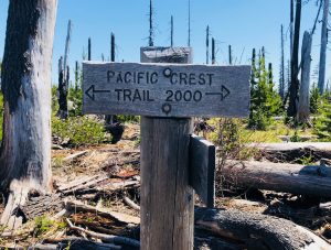 Pacific Crest Trail Sign Santiam Pass