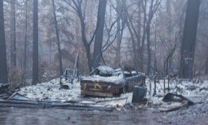 Burned Car in Garage Paradise California